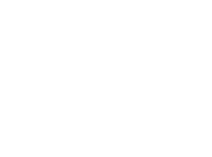 Capstone Vision logo